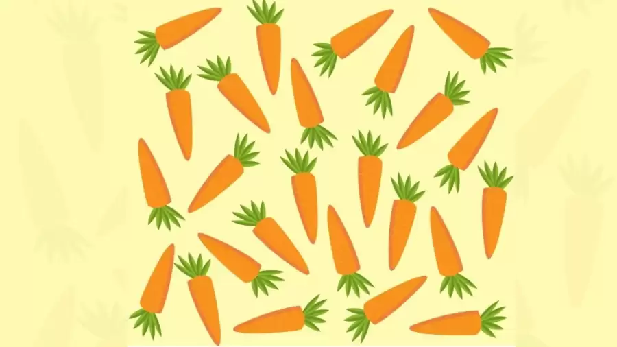 Only Sharp Eyes Can Spot the Odd Carrot in this Image in Just 8 Seconds?