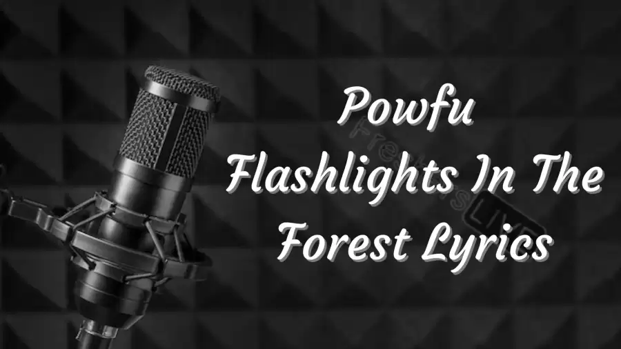 Powfu Flashlights In The Forest Lyrics know the real meaning of Powfu's Flashlights In The Forest Song Lyrics