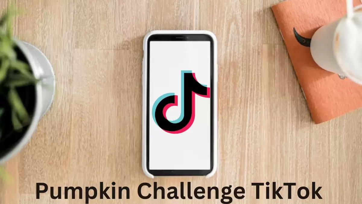 Pumpkin Challenge TikTok, What is the Pumpkin Challenge on TikTok?