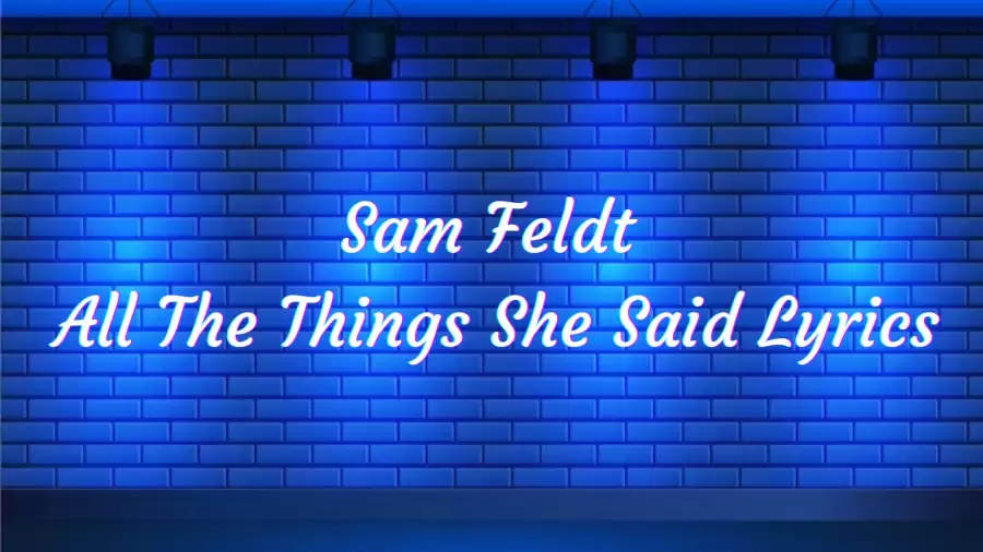 Sam Feldt  All The Things She Said Lyrics know the real meaning of Sam Feldt's  All The Things She Said Song Lyrics