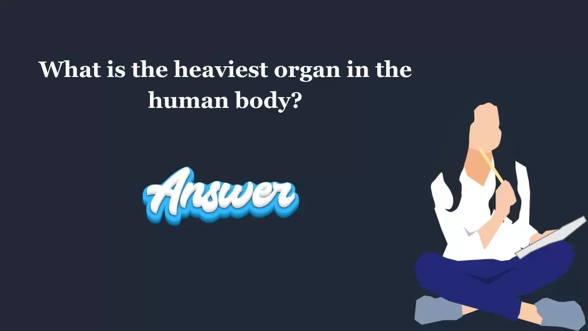 What is the heaviest organ in the human body? NZ Herald Quiz Morning Answers Today