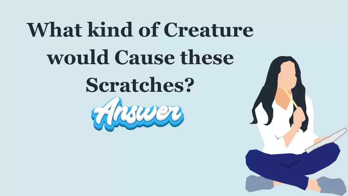 What kind of Creature would Cause these Scratches? Coolmath Answer Revealed