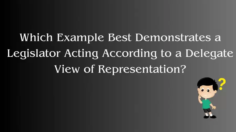 Which Example Best Demonstrates a Legislator Acting According to a Delegate View of Representation?