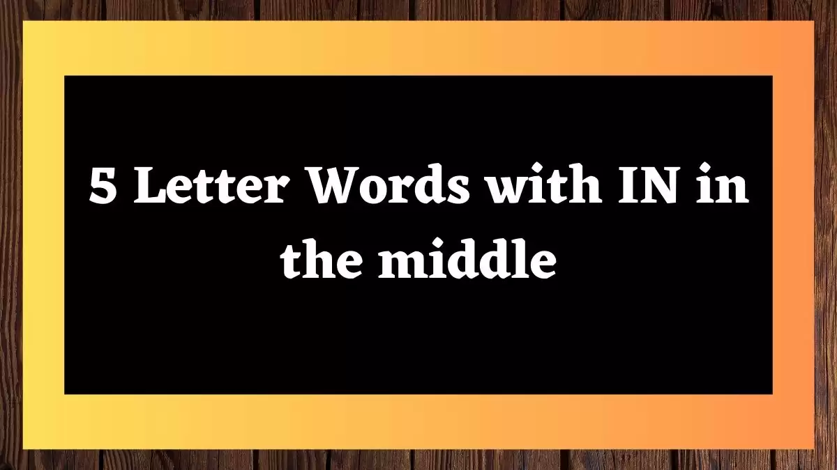 5 Letter Words with IN in the middle All Words List