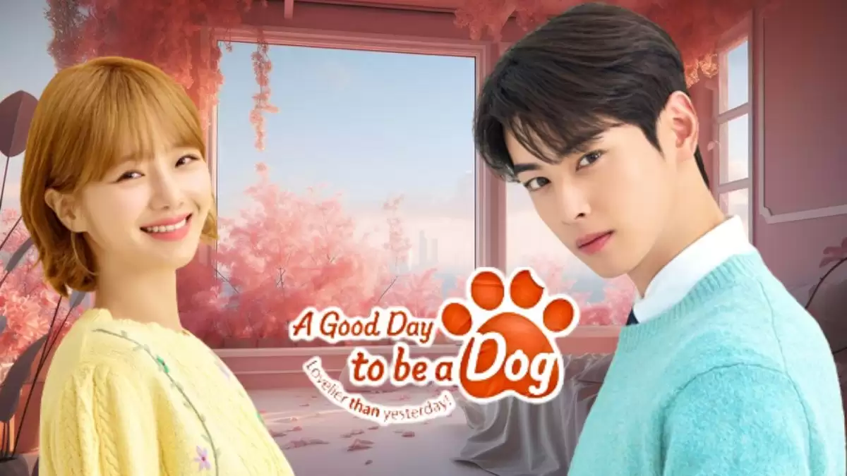 A Good Day to Be a Dog Episode 5 Release Date, A Good Day to Be a Dog Plot, and More