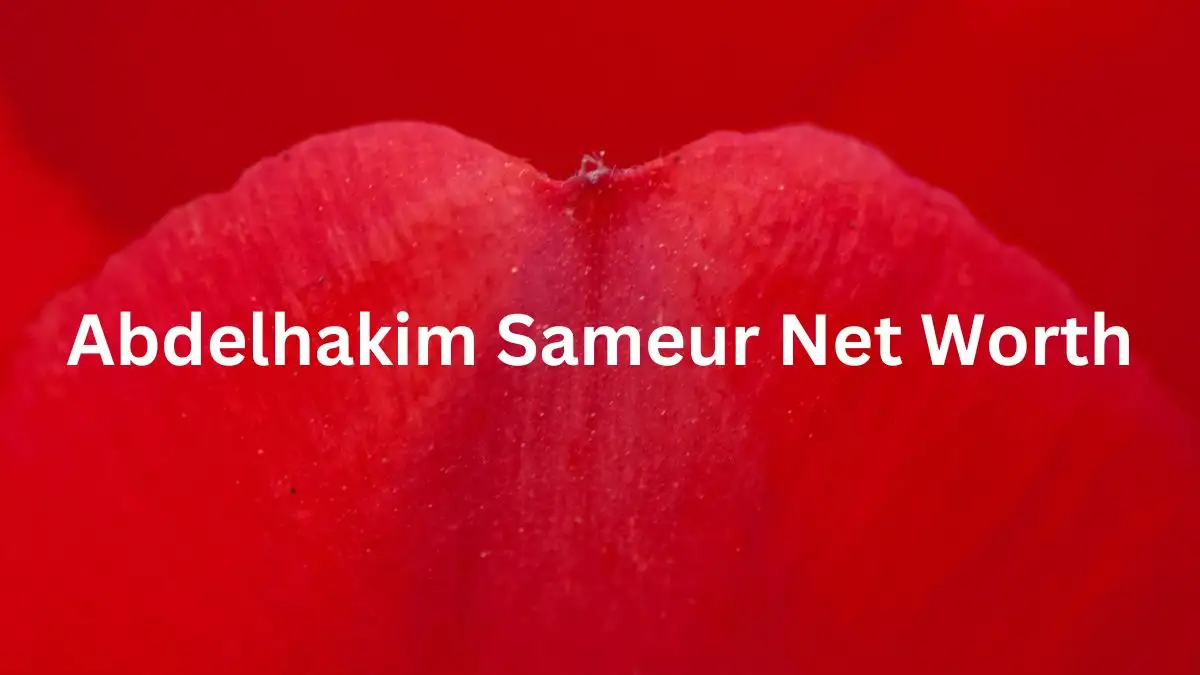 Abdelhakim Sameur Net Worth in 2023 How Rich is He Now?