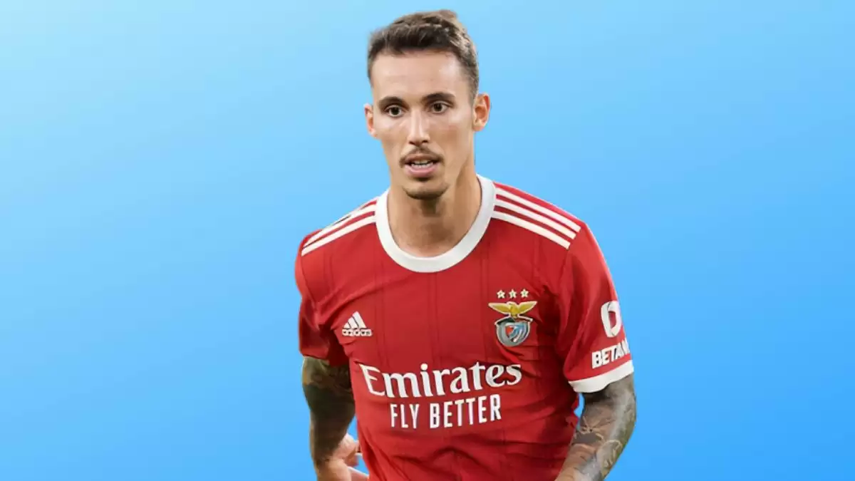 Alex Grimaldo Net Worth in 2023 How Rich is He Now?