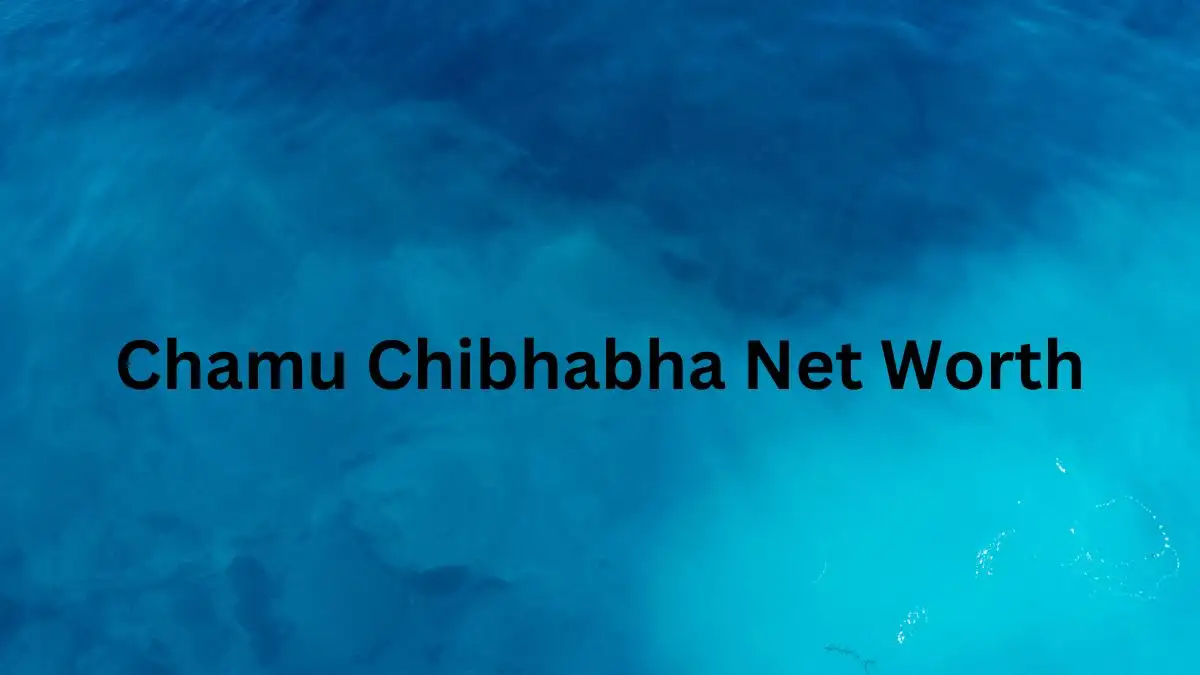 Chamu Chibhabha Net Worth in 2023 How Rich is He Now?