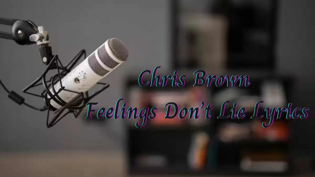 Chris Brown Feelings Don't Lie Lyrics know the real meaning of Chris Brown's Feelings Don't Lie Song Lyrics