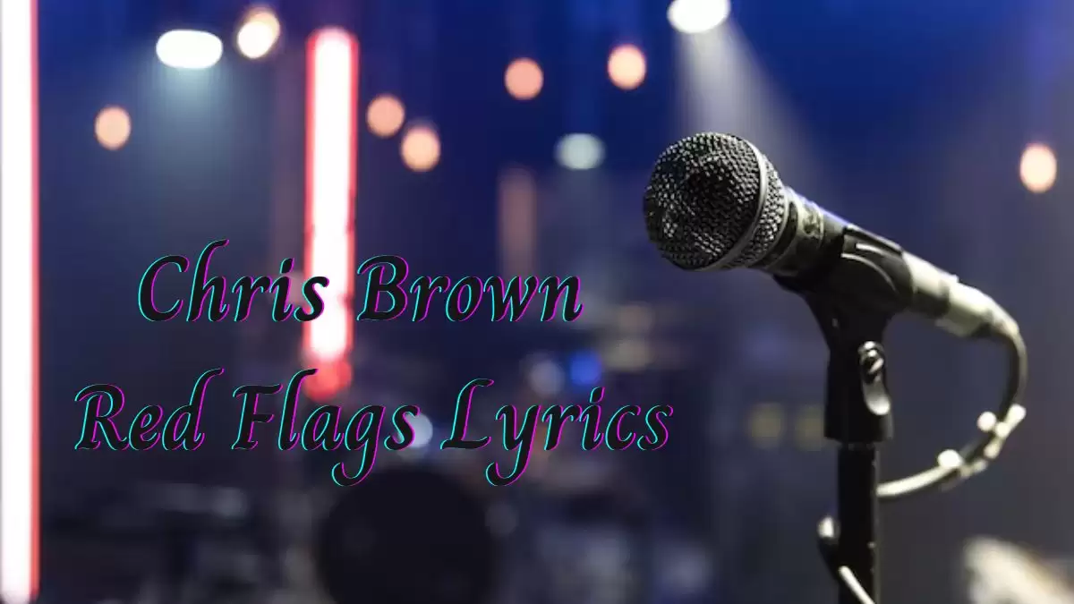 Chris Brown Red Flags Lyrics know the real meaning of Chris Brown's Red Flags Song Lyrics