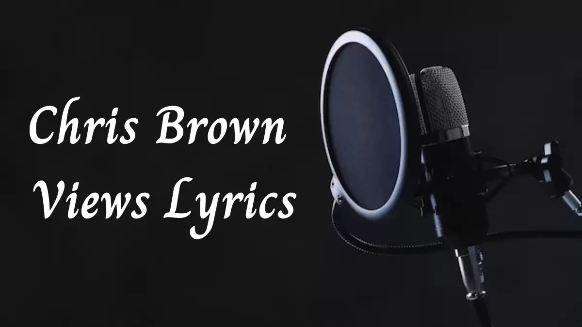 Chris Brown Views Lyrics know the real meaning of Chris Brown's Views Song Lyrics