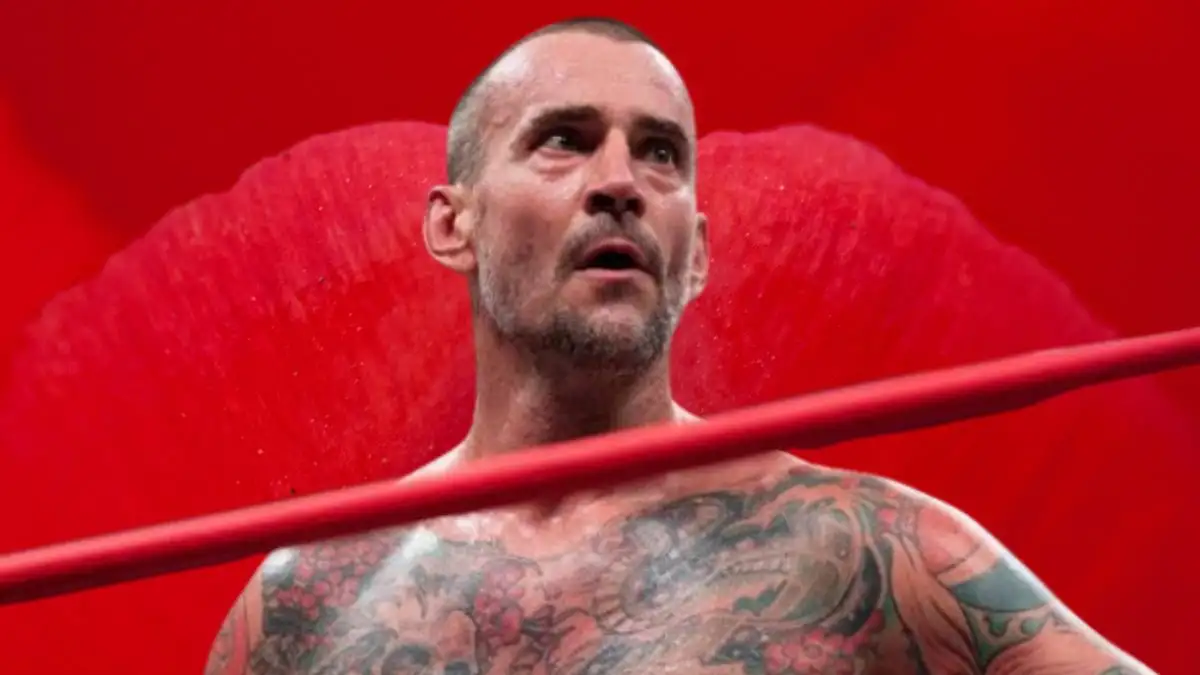 CM Punk Net Worth in 2023 How Rich is He Now?