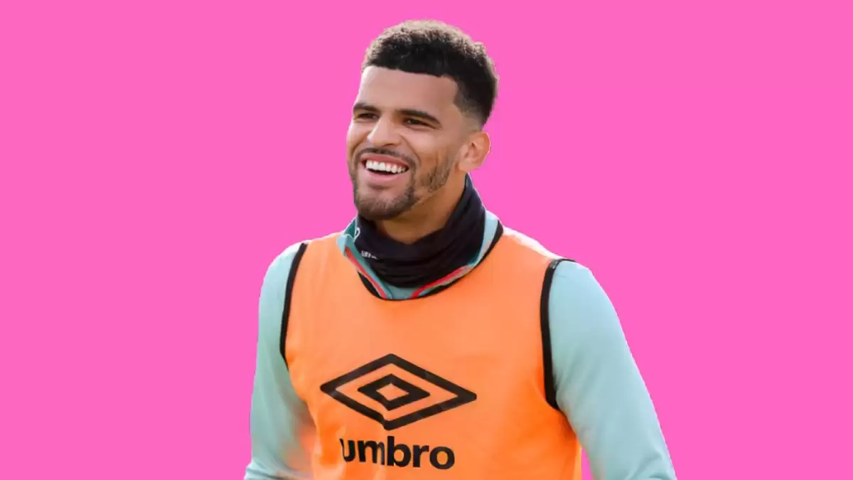 Dominic Solanke Ethnicity, What is Dominic Solanke's Ethnicity?