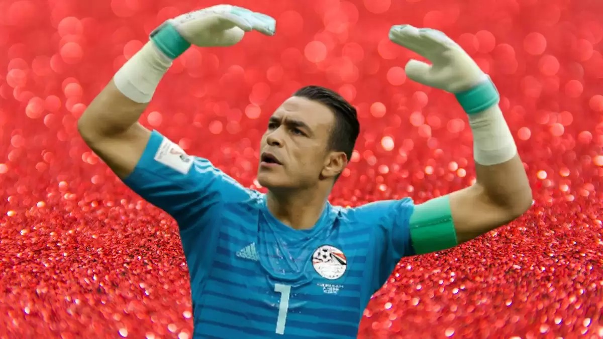 Essam El-Hadary Net Worth in 2023 How Rich is He Now?