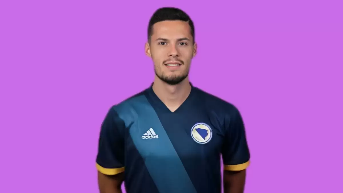 Haris Hajradinovic Net Worth in 2023 How Rich is He Now?