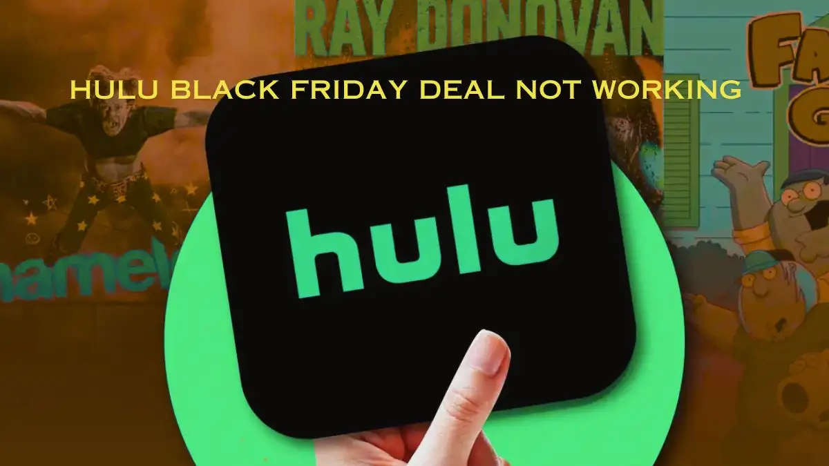 Hulu Black Friday Deal Not Working, Why Hulu Black Friday Deal Not Working?