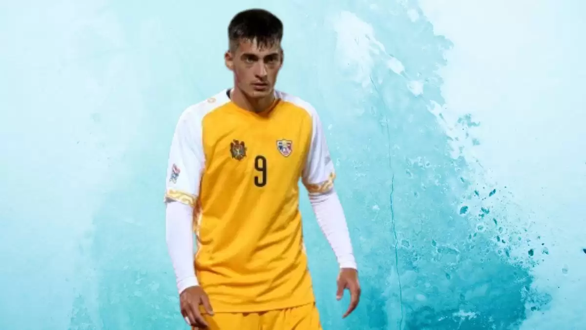 Ion Nicolaescu Net Worth in 2023 How Rich is He Now?