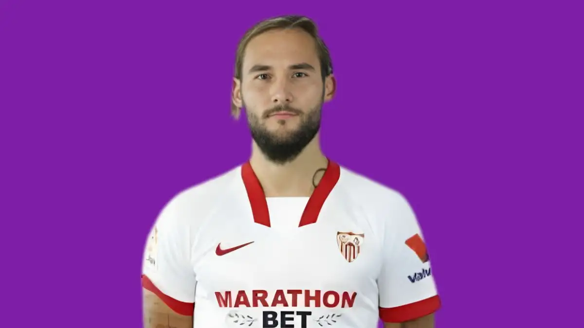 Nemanja Gudelj Net Worth in 2023 How Rich is He Now?