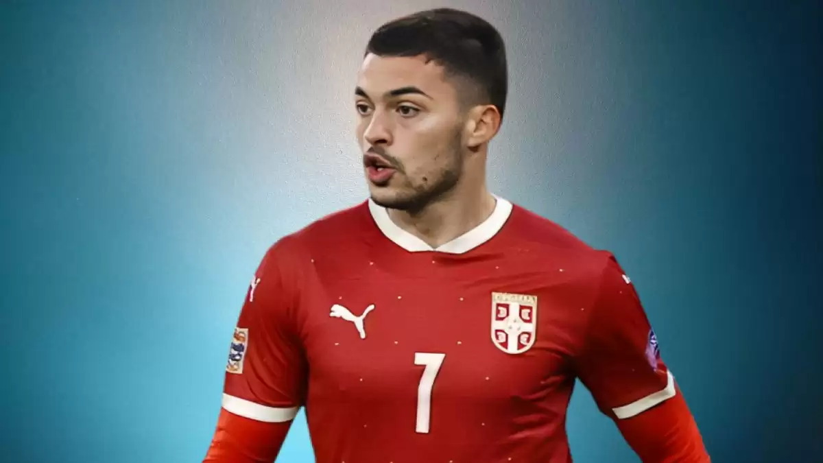 Nemanja Radonjic Net Worth in 2023 How Rich is He Now?