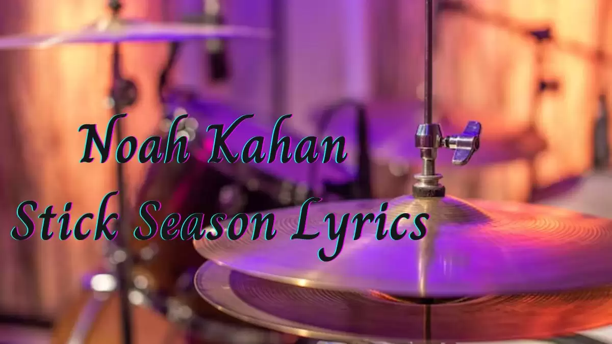 Noah Kahan Stick Season Lyrics know the real meaning of Noah Kahan's Stick Season Song Lyrics