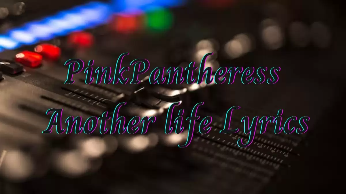 PinkPantheress Another life Lyrics know the real meaning of PinkPantheress Another life Song Lyrics