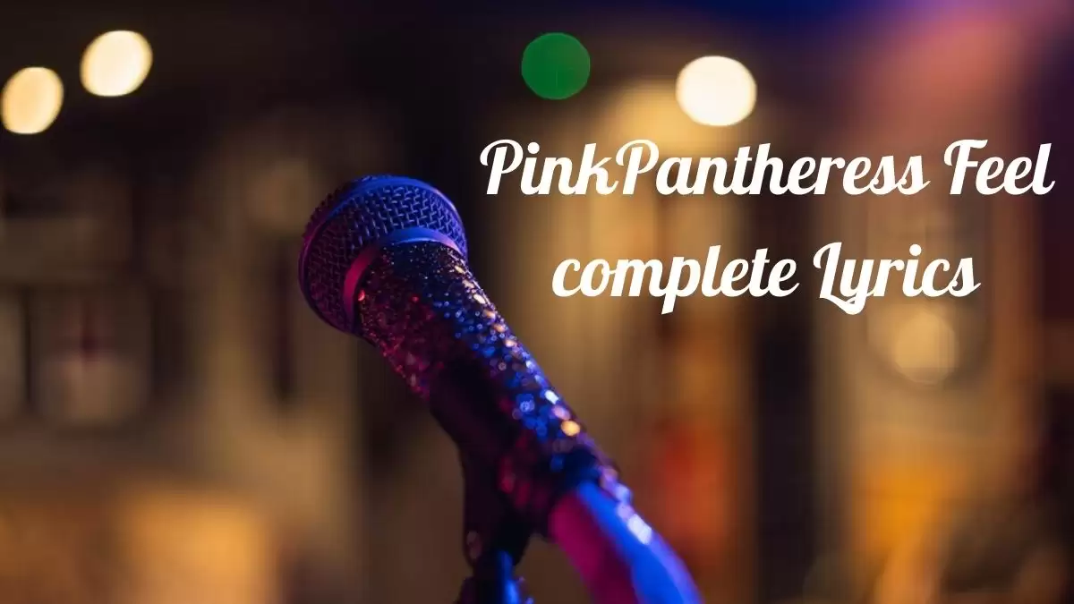 PinkPantheress Feel complete Lyrics know the real meaning of PinkPantheress's Feel complete Song Lyrics