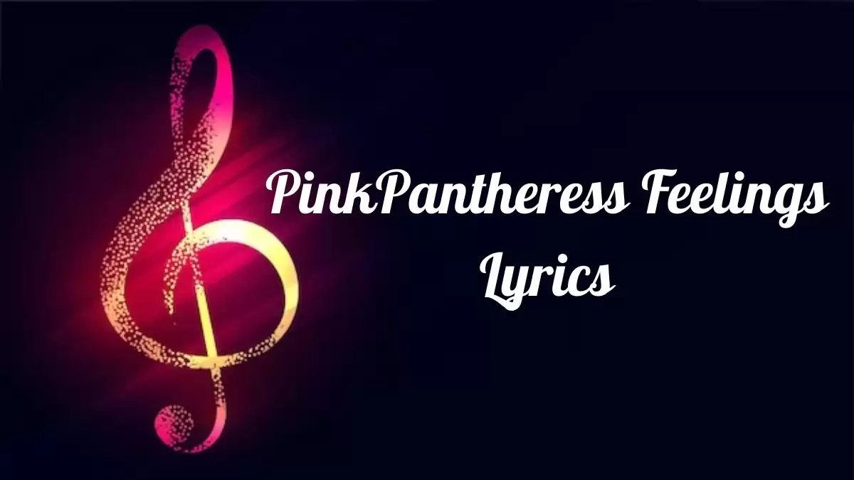 PinkPantheress Feelings Lyrics know the real meaning of PinkPantheress's Feelings Song Lyrics