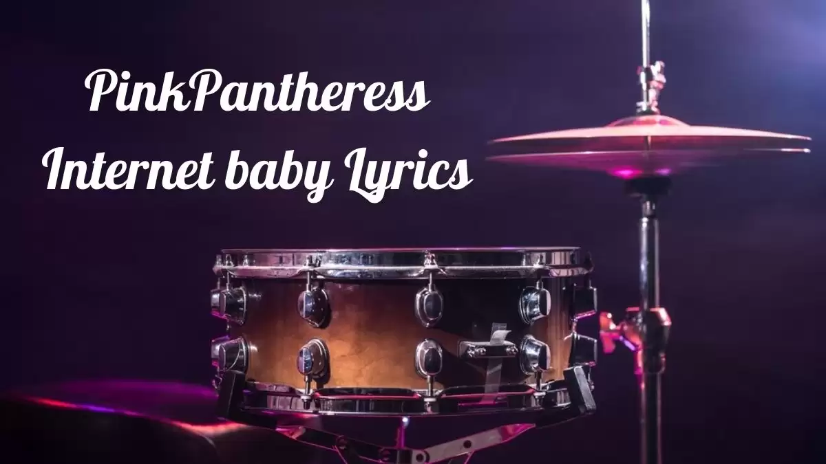 PinkPantheress Internet baby Lyrics know the real meaning of PinkPantheress's Internet baby Song Lyrics