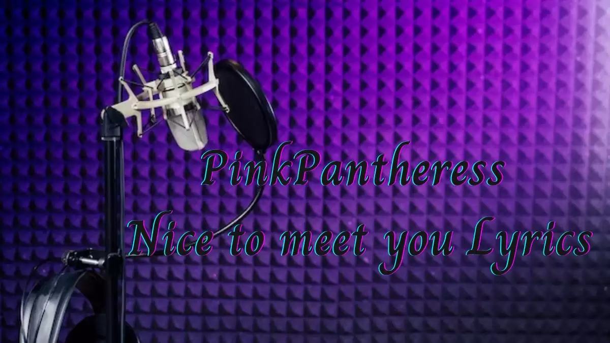 PinkPantheress Nice to Meet You Lyrics know the real meaning of PinkPantheress Nice to Meet You Song Lyrics