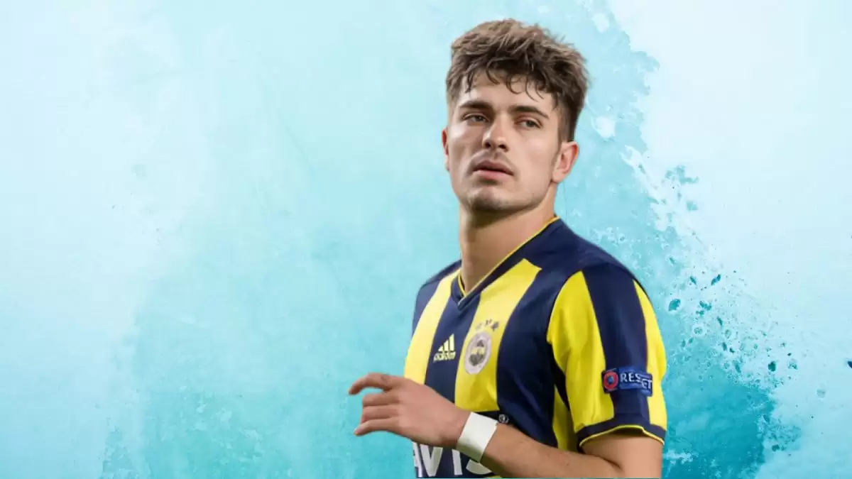 Roman Neustadter Net Worth in 2023 How Rich is He Now?