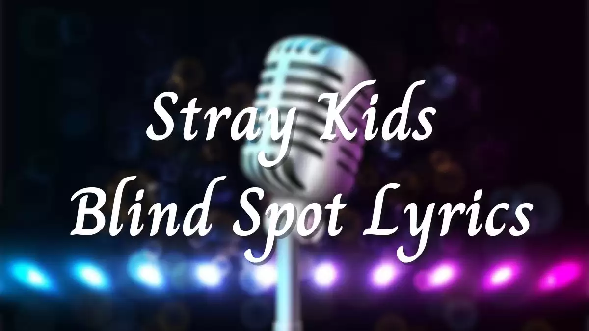 Stray Kids Blind Spot Lyrics know the real meaning of Stray Kids Blind Spot Song Lyrics