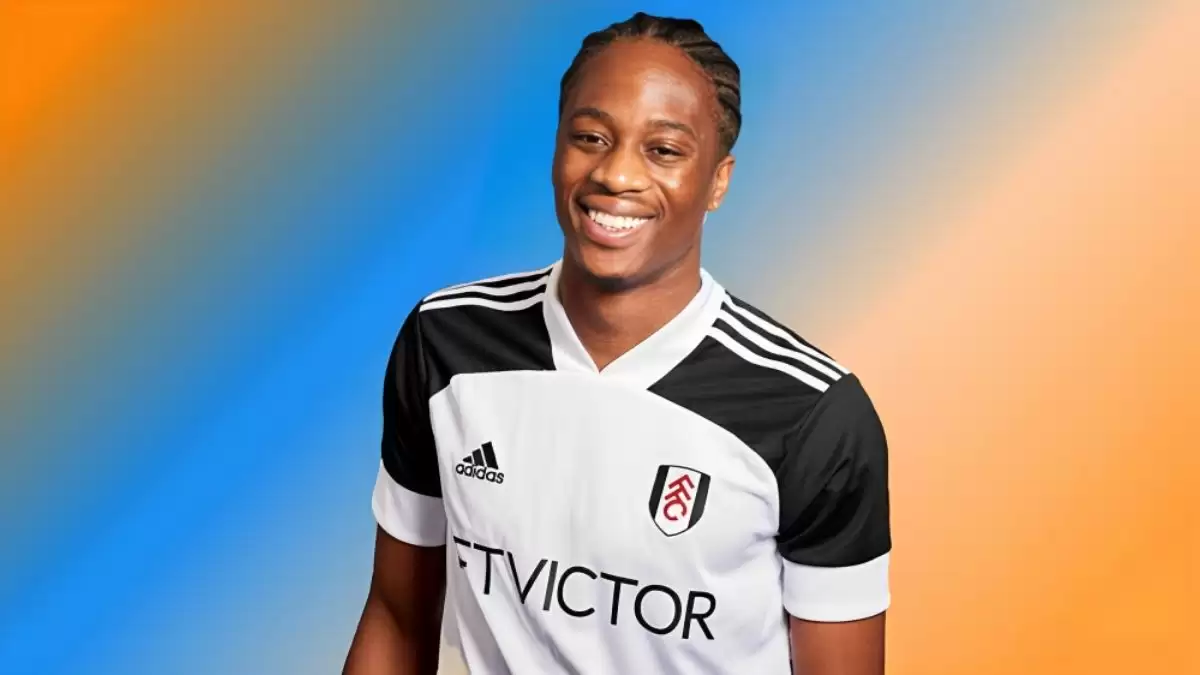 Terence Kongolo Ethnicity, What is Terence Kongolo's Ethnicity?