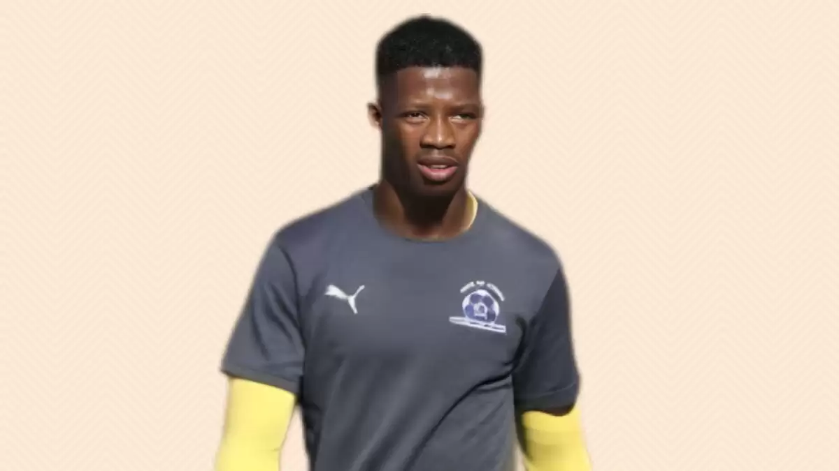 Virgil Vries Net Worth in 2023 How Rich is He Now?