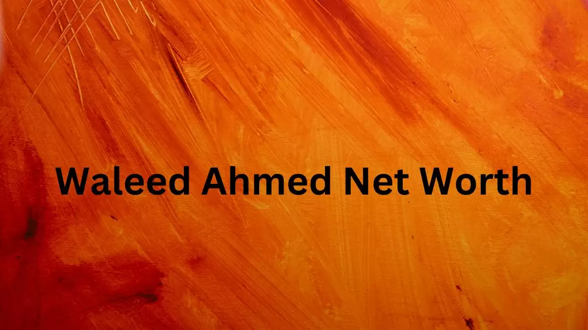 Waleed Ahmed Net Worth in 2023 How Rich is He Now?