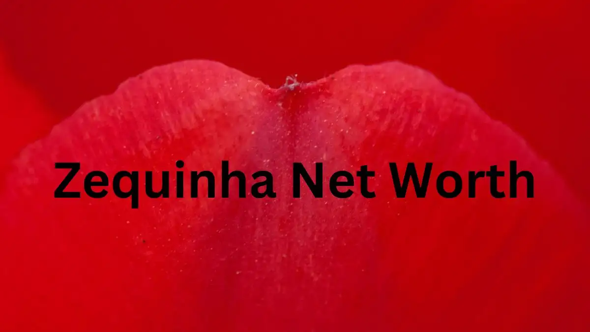 Zequinha Net Worth in 2023 How Rich is He Now?