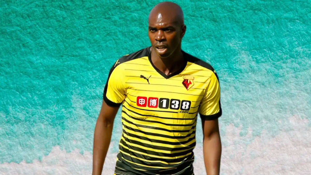 Allan Nyom Net Worth in 2023 How Rich is He Now?