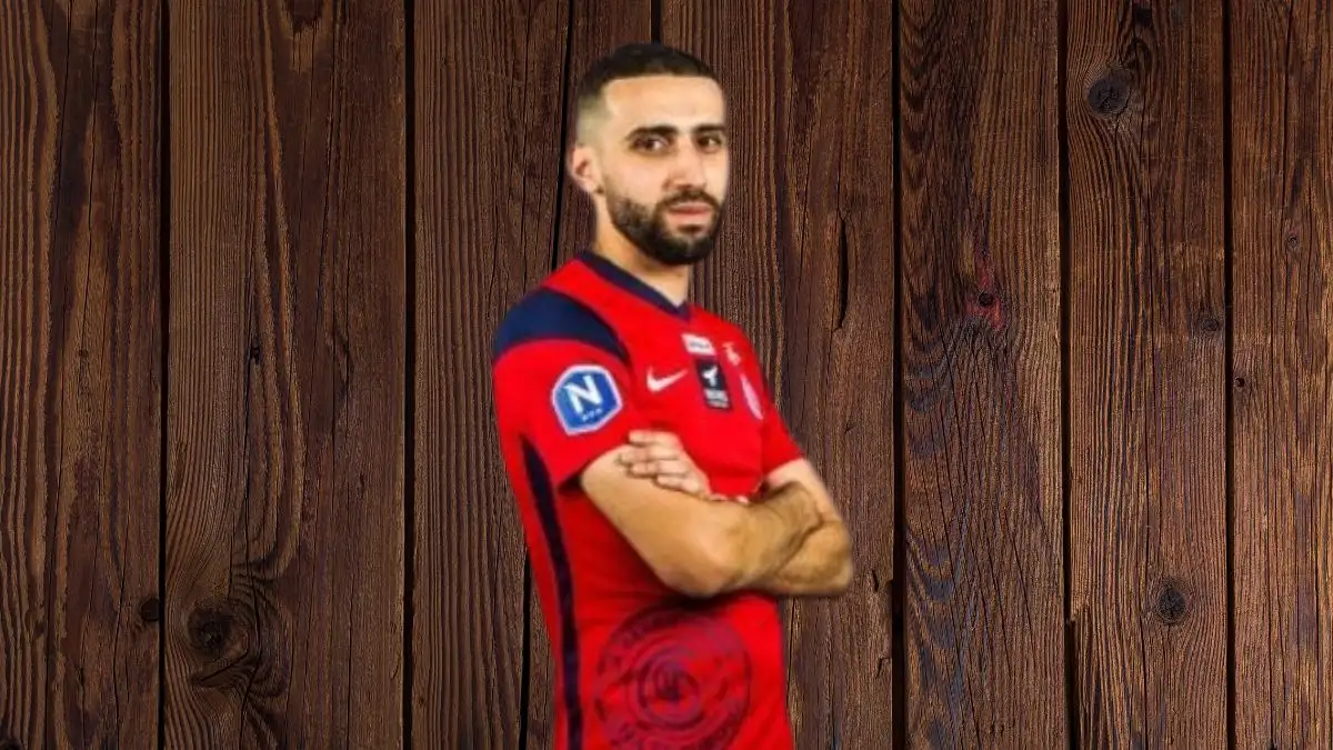 Amir Nouri Net Worth in 2023 How Rich is He Now?