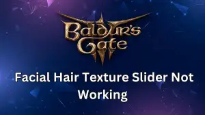 Bg3 Facial Hair Texture Slider Not Working How To Fix Baldur's Gate 3 Facial Hair Texture Slider Not Working?