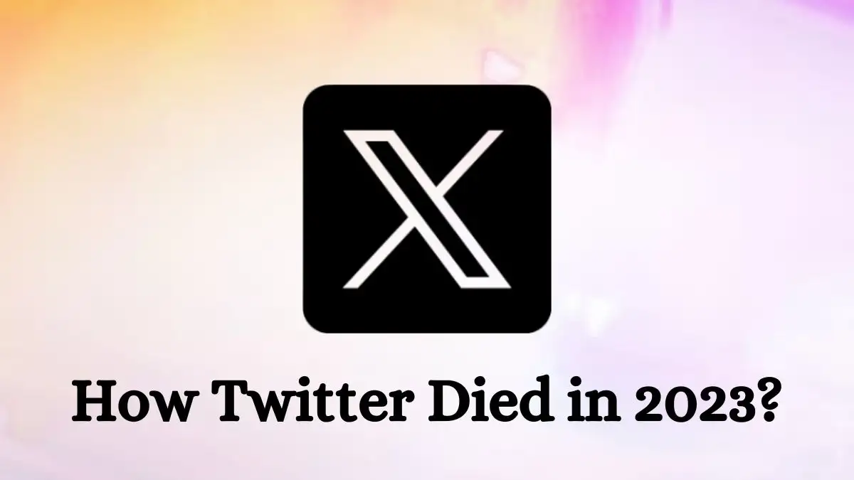 How Twitter Died in 2023? Why X May Not Be Far Behind?