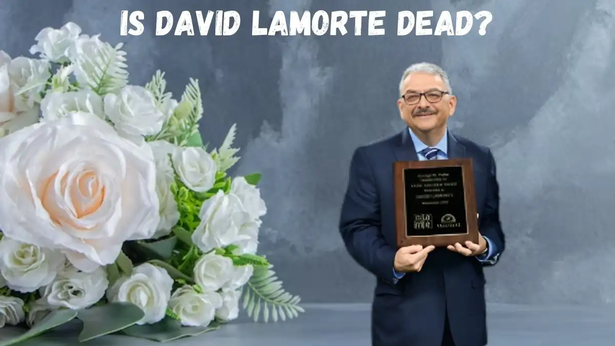 Is David Lamorte Dead? What Happened to David Lamorte?