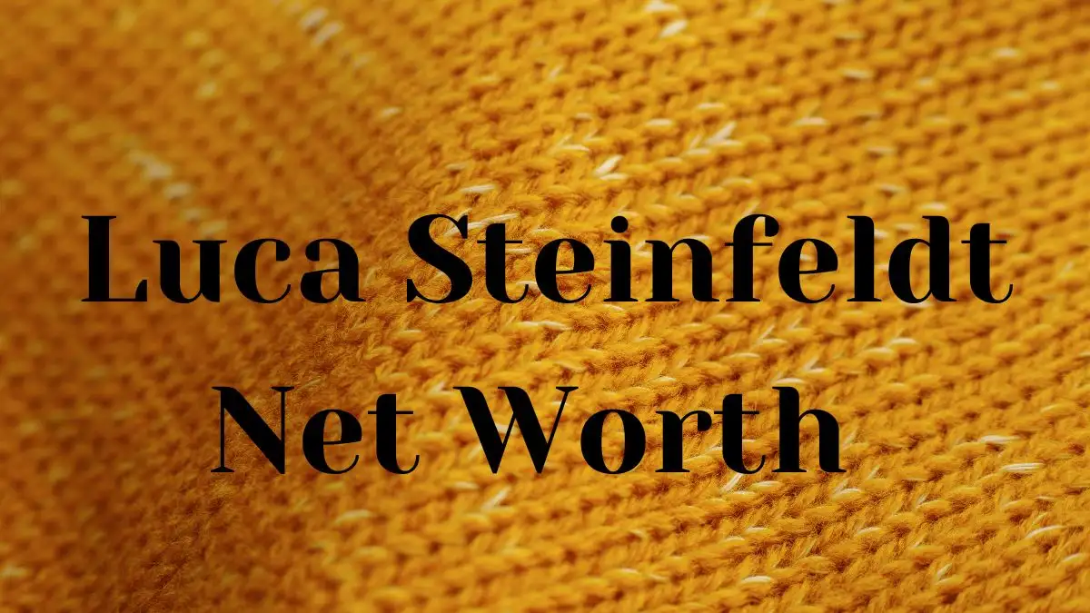 Luca Steinfeldt  Net Worth in 2023 How Rich is He Now?