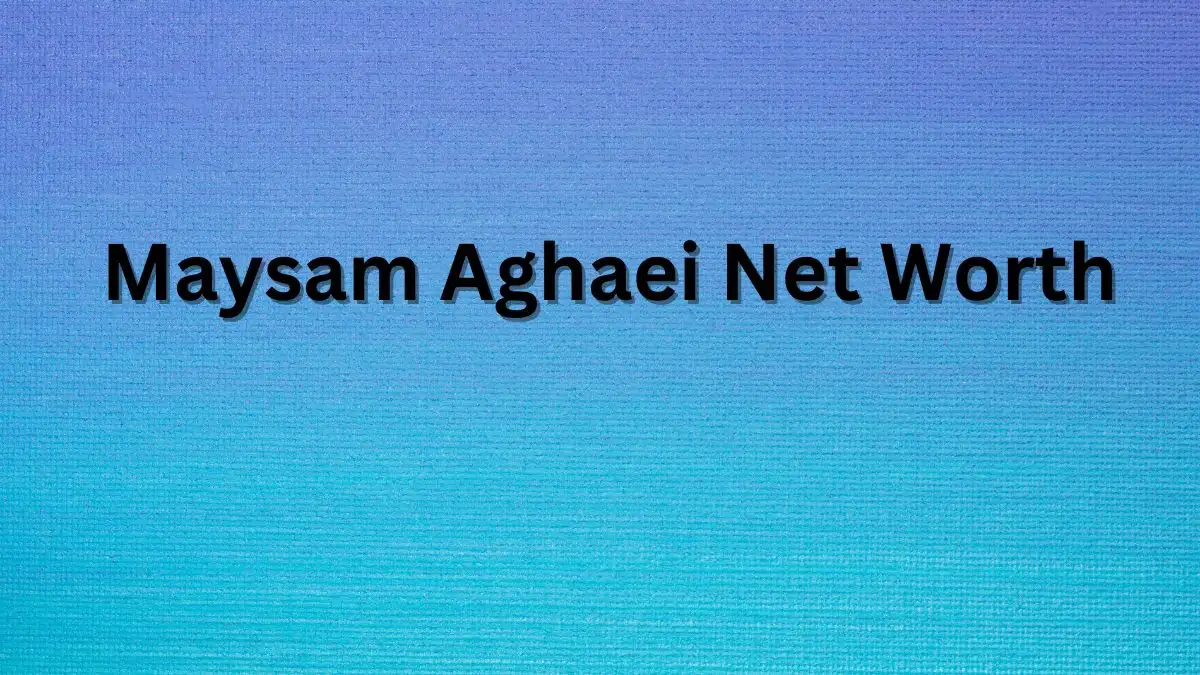 Maysam Aghaei Net Worth in 2023 How Rich is He Now?