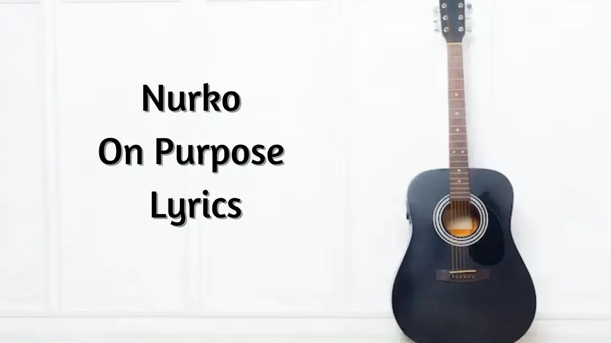 Nurko On Purpose Lyrics know the real meaning of Nurko's On Purpose Song lyrics