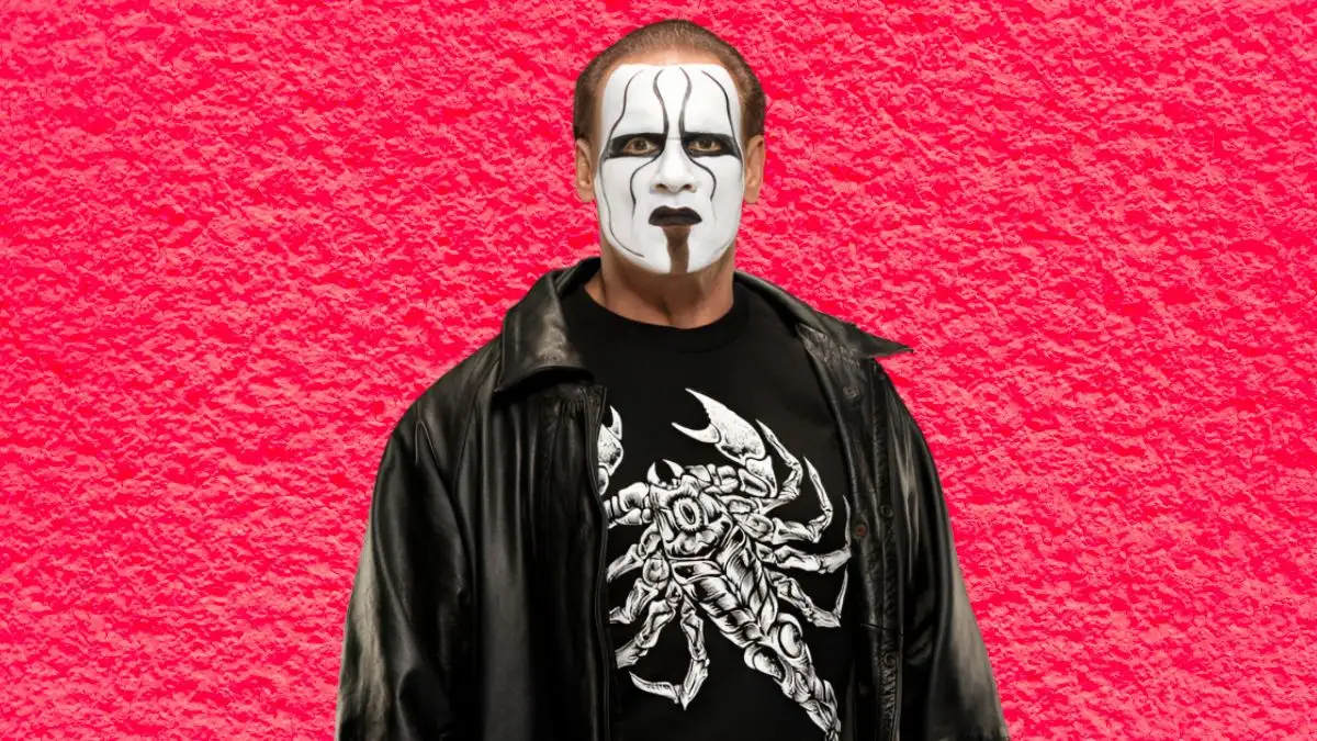 Sting Net Worth in 2023 How Rich is He Now?