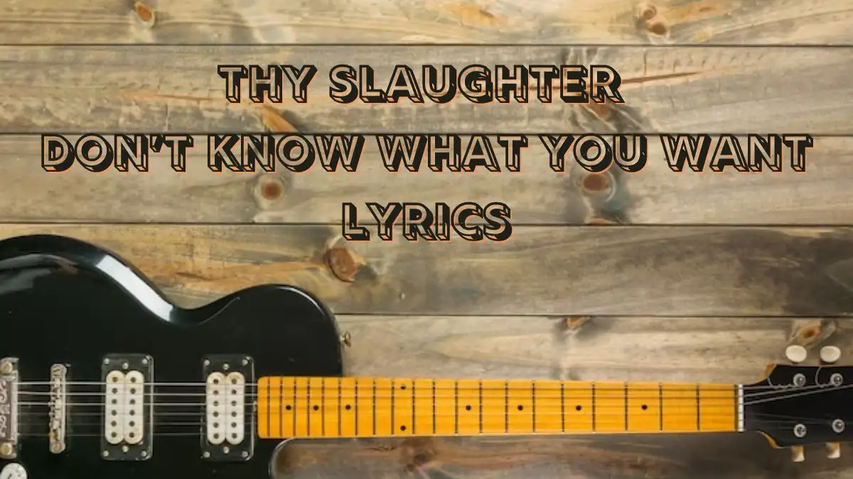 Thy Slaughter Don’t Know What You Want Lyrics know the real meaning of  A. G. Cook, Easyfun's Don’t Know What You Want Song Lyrics