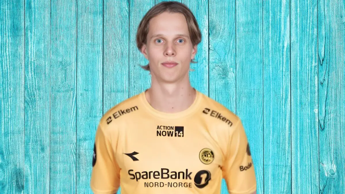 Ulrik Saltnes Net Worth in 2023 How Rich is He Now?