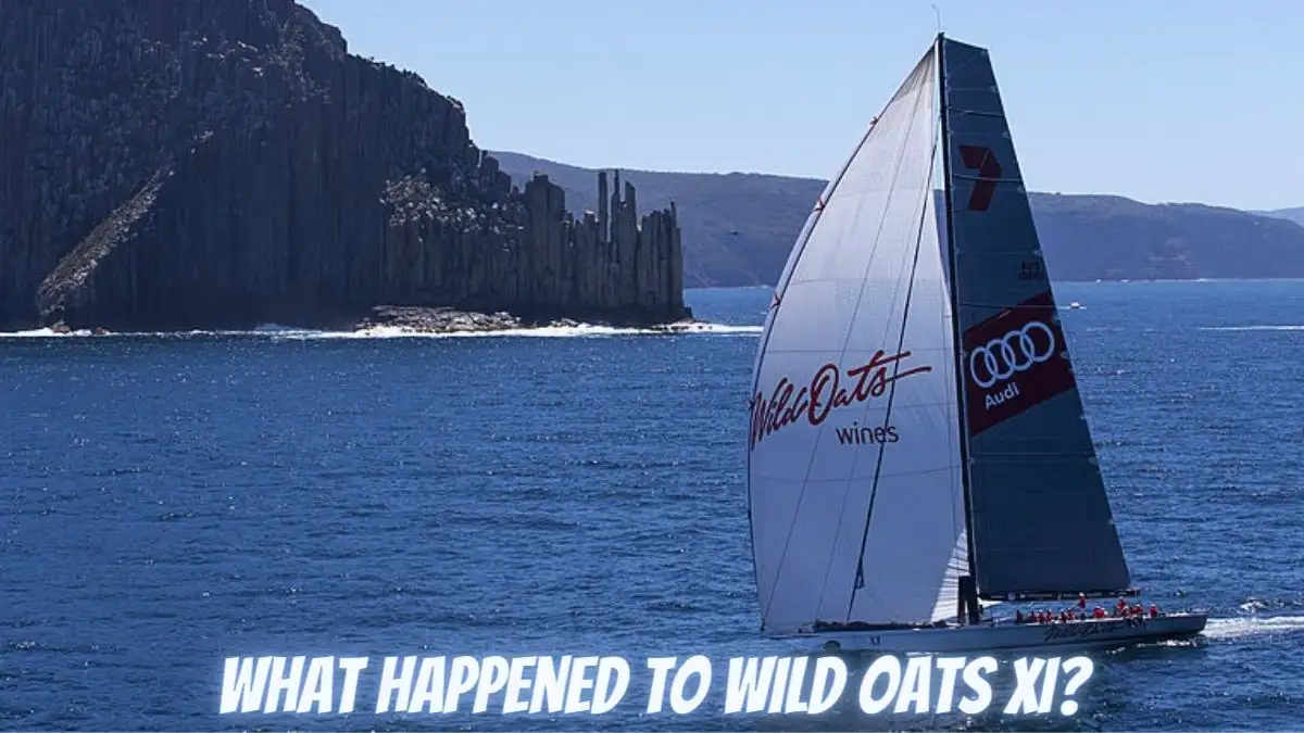 What Happened to Wild Oats XI? Will Wild Oats XI Return?