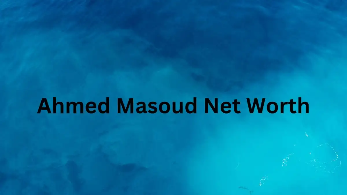 Ahmed Masoud Net Worth in 2023 How Rich is He Now?