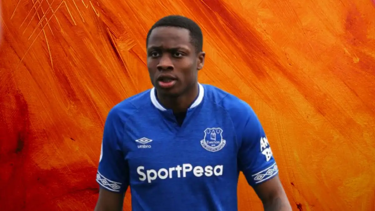 Dennis Adeniran Net Worth in 2024 How Rich is He Now?