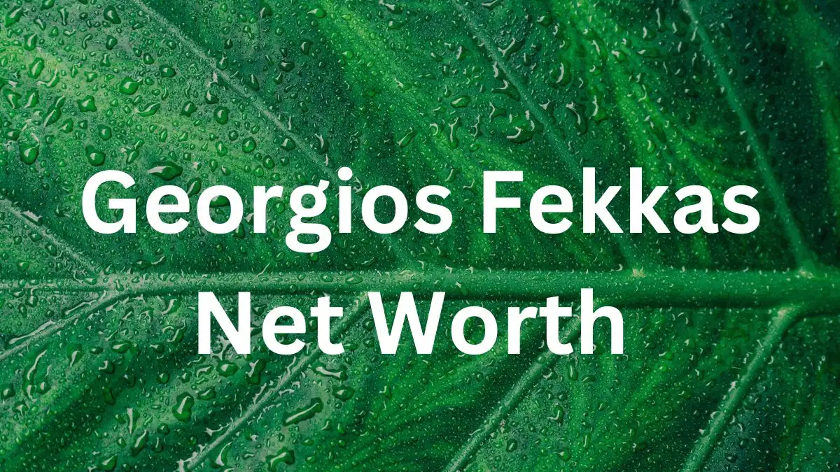 Georgios Fekkas Net Worth in 2024 How Rich is He Now?